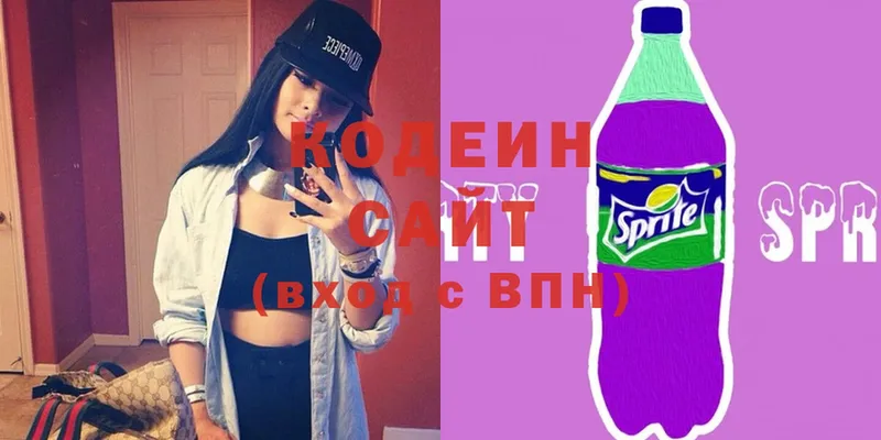 дарнет шоп  Камышлов  Кодеиновый сироп Lean Purple Drank 