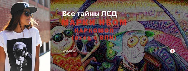 гашик Майский