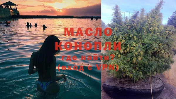 гашик Майский