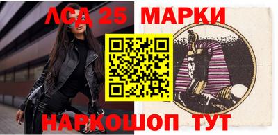 индика Гатчина