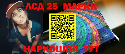 индика Гатчина