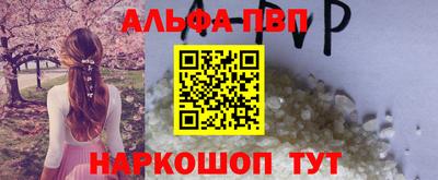 индика Гатчина