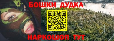 индика Гатчина