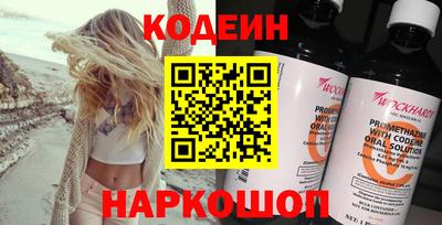 индика Гатчина