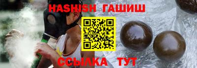 индика Гатчина