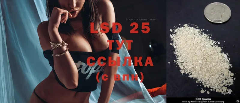 ЛСД экстази ecstasy  Камышлов 