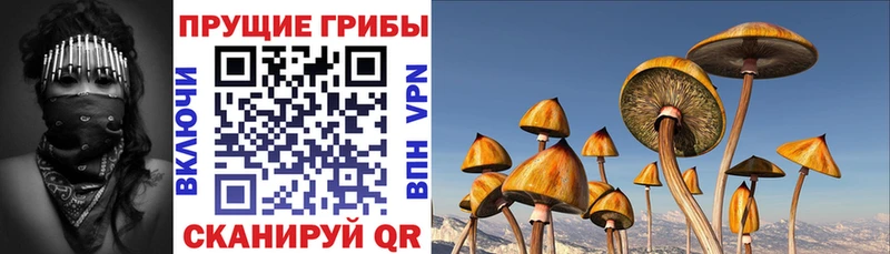 Псилоцибиновые грибы прущие грибы  Камышлов 