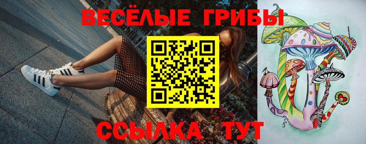 Псилоцибиновые грибы Psilocybe Камышлов
