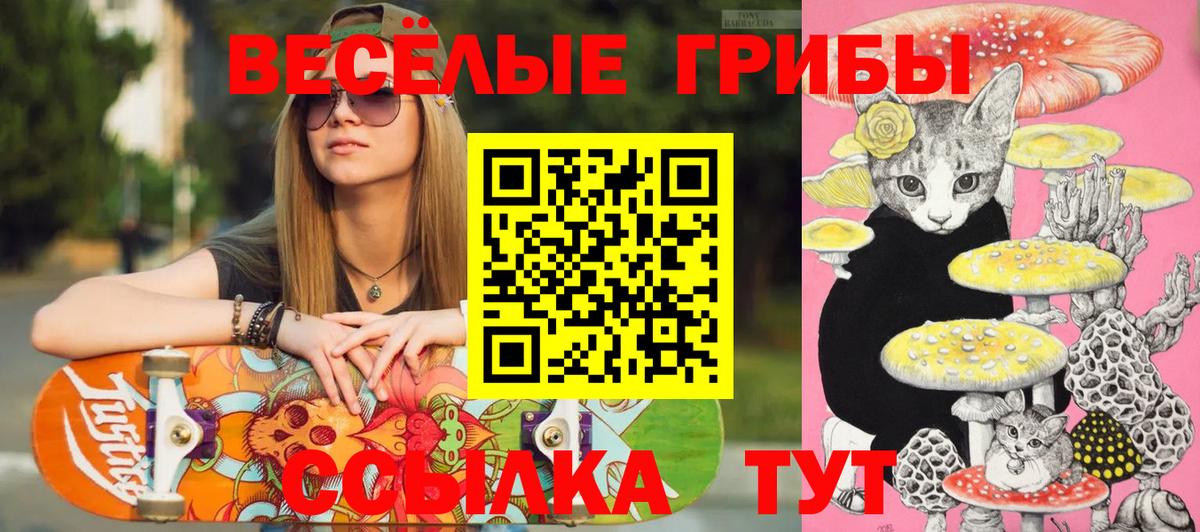 Галлюциногенные грибы MAGIC MUSHROOMS  Псилоцибиновые грибы мухоморы  Вход с VPN  Камышлов 